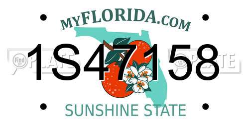 1S47158 Florida License Plate