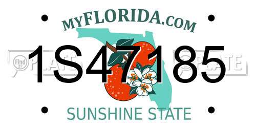1S47185 Florida License Plate