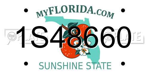 1S48660 Florida License Plate