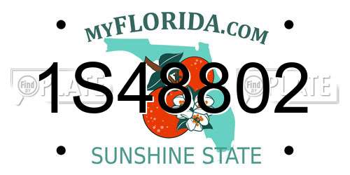 1S48802 Florida License Plate
