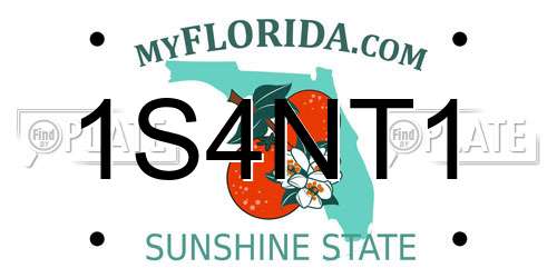 1S4NT1 Florida License Plate