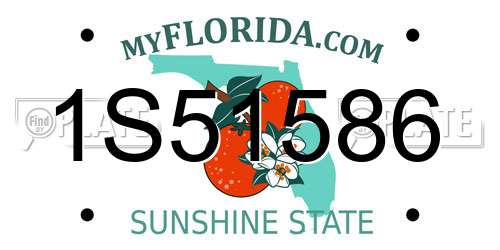 1S51586 Florida License Plate