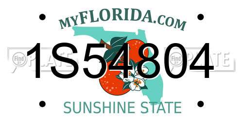 1S54804 Florida License Plate