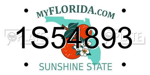 1S54893 Florida License Plate
