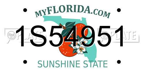 1S54951 Florida License Plate