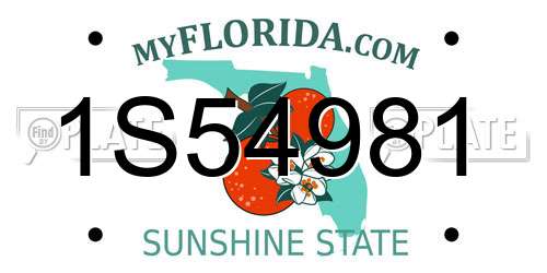 1S54981 Florida License Plate