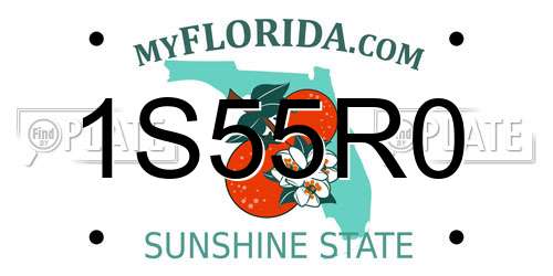 1S55R0 Florida License Plate
