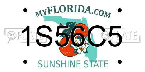 1S56C5 Florida License Plate