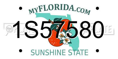 1S57580 Florida License Plate
