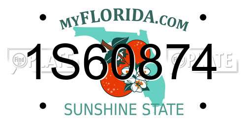 1S60874 Florida License Plate
