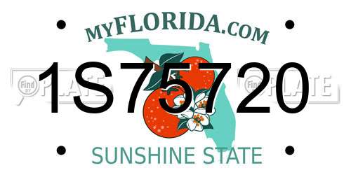 1S75720 Florida License Plate