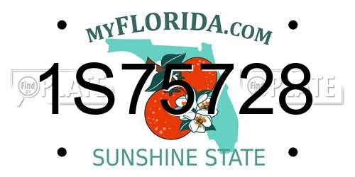 1S75728 Florida License Plate