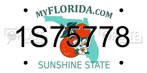1S75778 Florida License Plate