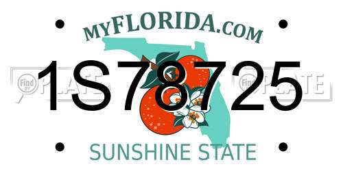1S78725 Florida License Plate