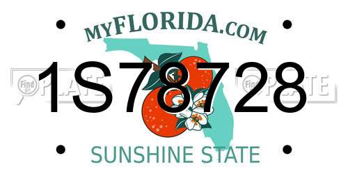 1S78728 Florida License Plate