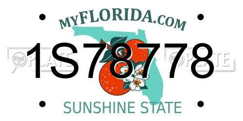 1S78778 Florida License Plate