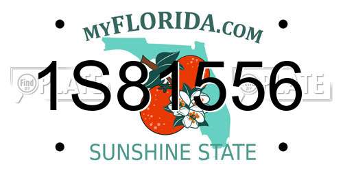 1S81556 Florida License Plate