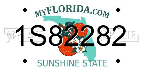 1S82282 Florida License Plate