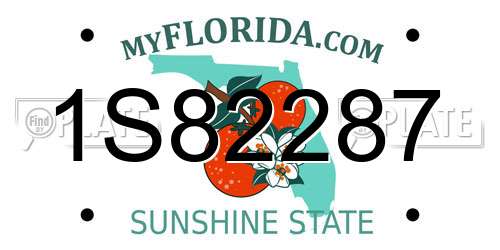 1S82287 Florida License Plate