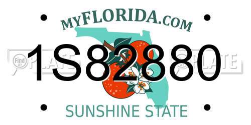 1S82880 Florida License Plate