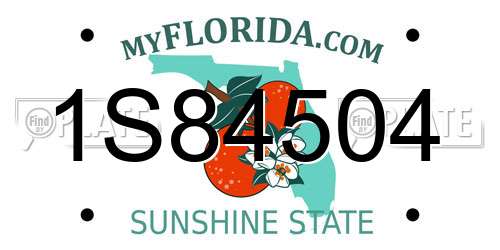 1S84504 Florida License Plate