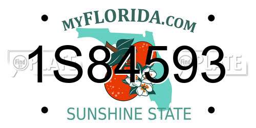 1S84593 Florida License Plate