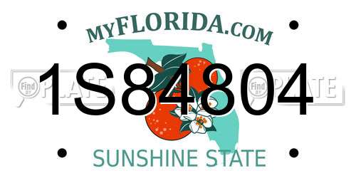 1S84804 Florida License Plate