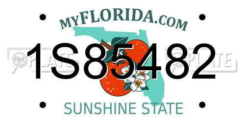 1S85482 Florida License Plate