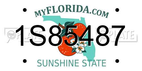 1S85487 Florida License Plate