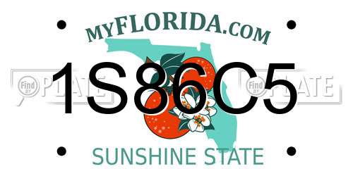 1S86C5 Florida License Plate