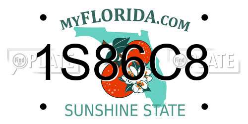 1S86C8 Florida License Plate