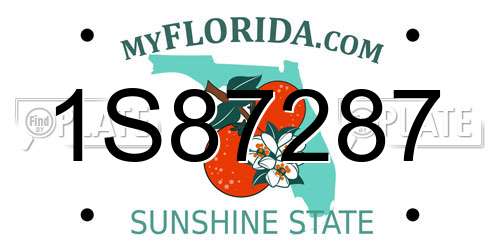 1S87287 Florida License Plate