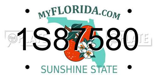 1S87580 Florida License Plate