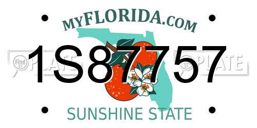 1S87757 Florida License Plate