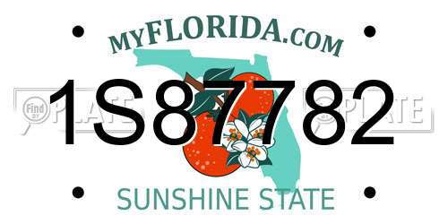 1S87782 Florida License Plate