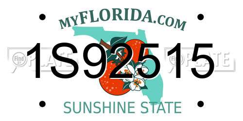 1S92515 Florida License Plate