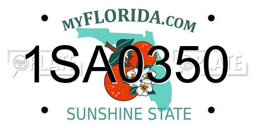 1SA0350 Florida License Plate