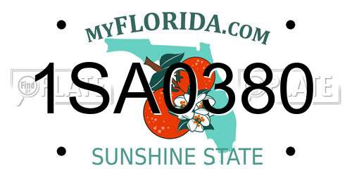1SA0380 Florida License Plate
