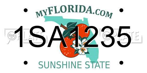 1SA1235 Florida License Plate