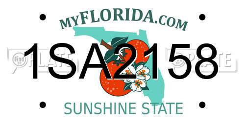 1SA2158 Florida License Plate