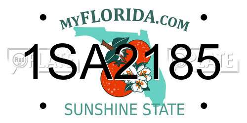 1SA2185 Florida License Plate