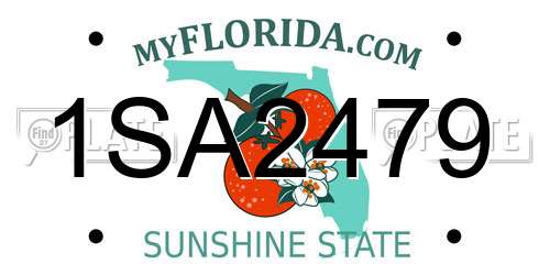 1SA2479 Florida License Plate