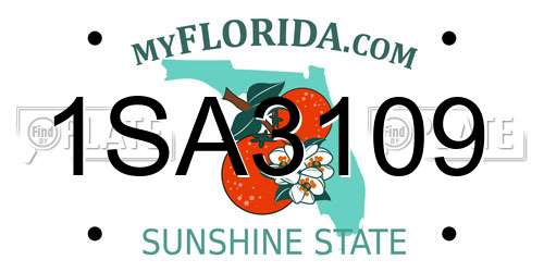 1SA3109 Florida License Plate
