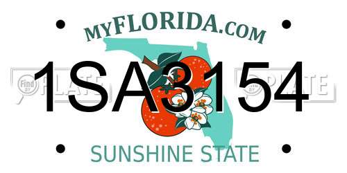 1SA3154 Florida License Plate