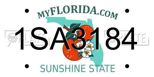 1SA3184 Florida License Plate