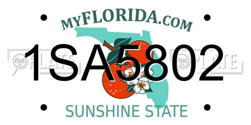 1SA5802 Florida License Plate