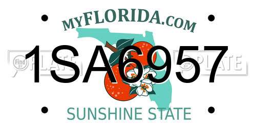 1SA6957 Florida License Plate