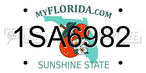 1SA6982 Florida License Plate