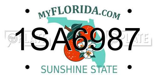 1SA6987 Florida License Plate