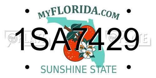 1SA7429 Florida License Plate